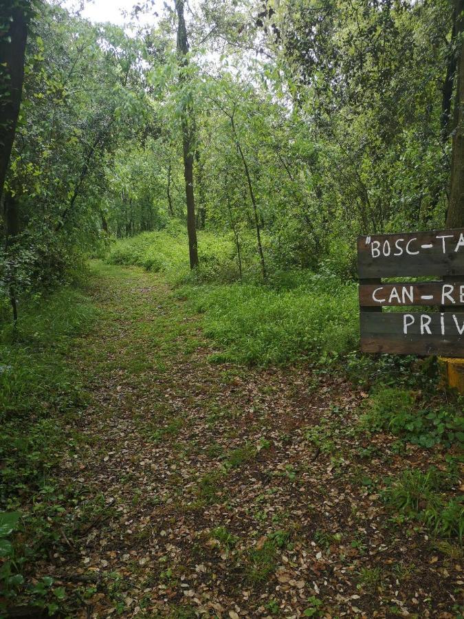 Can Resiu Seriñá Extérieur photo
